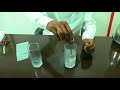 Evergreen Carry Bags Factory Video