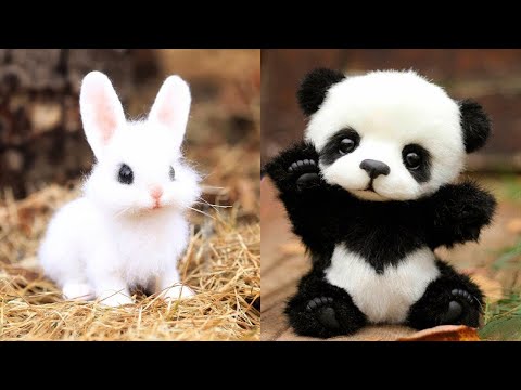 Cute Baby Funniest Animals Videos Compilation 😻🐶 Best Funny and Cute Moment of the Cats and Dogs #2