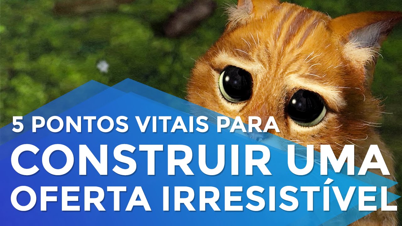 5 PONTOS VITAIS PARA CONSTRUIR UMA OFERTA IRRESISTÍVEL | ERICO ROCHA | PARTE 133 DE 365
