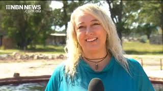 IRUKANDJI SHARK &amp; RAY ENCOUNTERS ENDURING THROUGH PANDEMIC