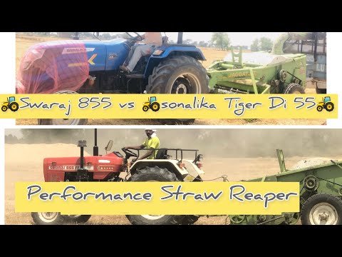 Swaraj855 vs Sonalika Tiger Di 55 ||Perfomance straw Reaper || #swaraj855 #sonalika #vlogs