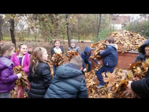 Volontiranje je cool