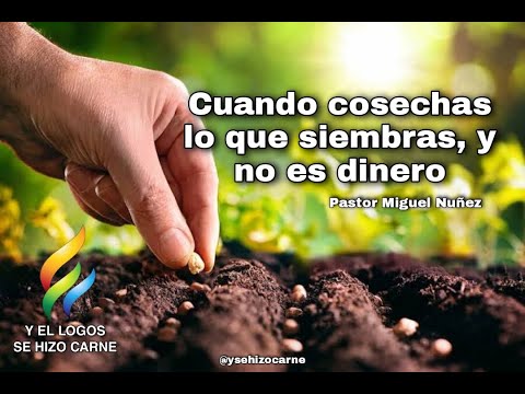 CUANDO COSECHAS LO QUE SIEMBRAS, Y NO ES DINERO