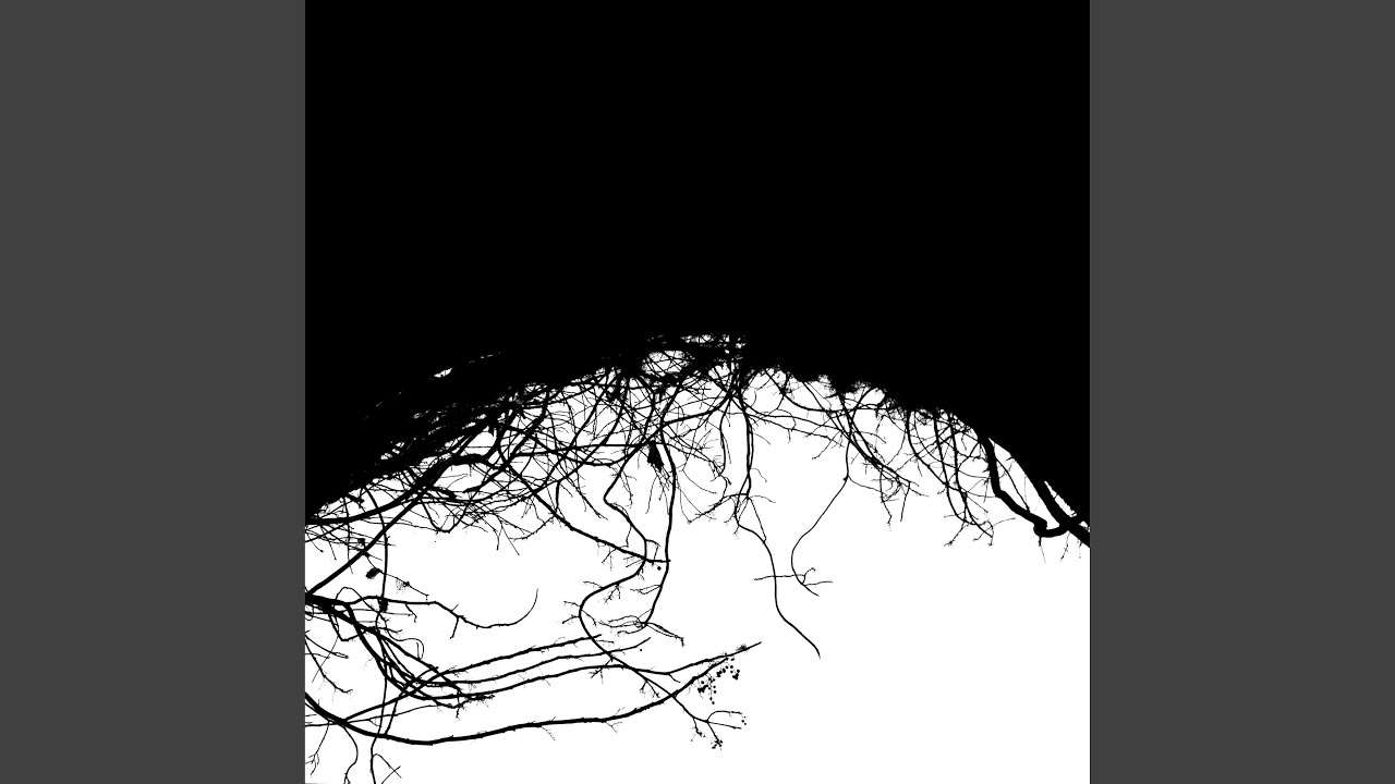 Variable Dimensions 1-6