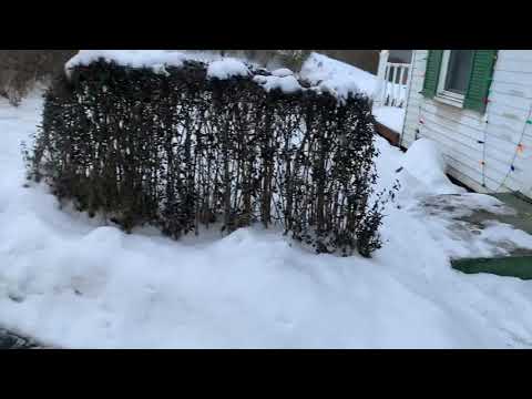 Salting the drive way 101