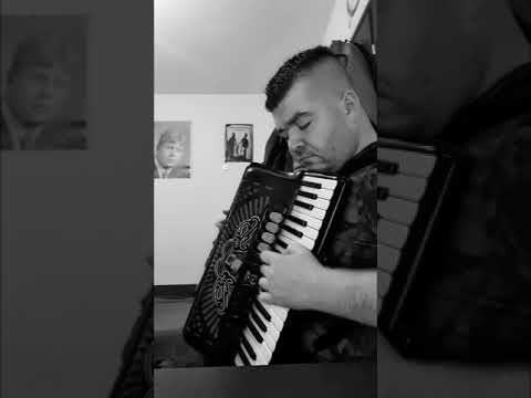 EJ MEDENA HARMONIKA LUKAS