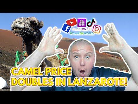 Camel Ride in Lanzarote - A full look at what you will get on a Lanzarote camel ride - Prices double