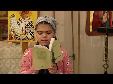 Ana Hiticaş - Învaţă de la ape (poezie)