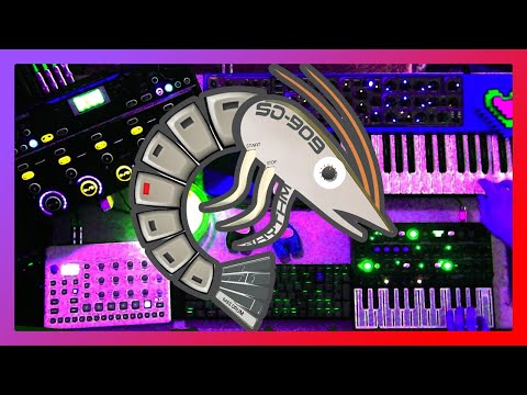 Golden Shrimp Guild SynthON 909 Fest | kineticturtle livelooping set