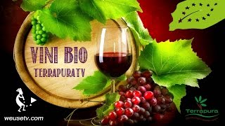 Vini biologici e naturali - Produzione, filosofia e cenni normativi