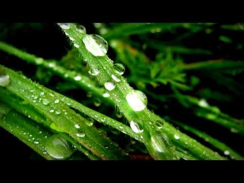 "Modlitwa" Dom o Zielonych Progach