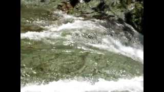 preview picture of video 'Excursionismo Cenzontle- 1ra. Cascada del Chicol por Acacoyagua'