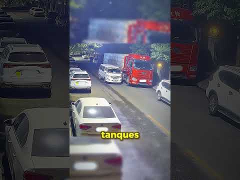 Por que caminhoneiros chinêses sempre tem um cachorro a bordo