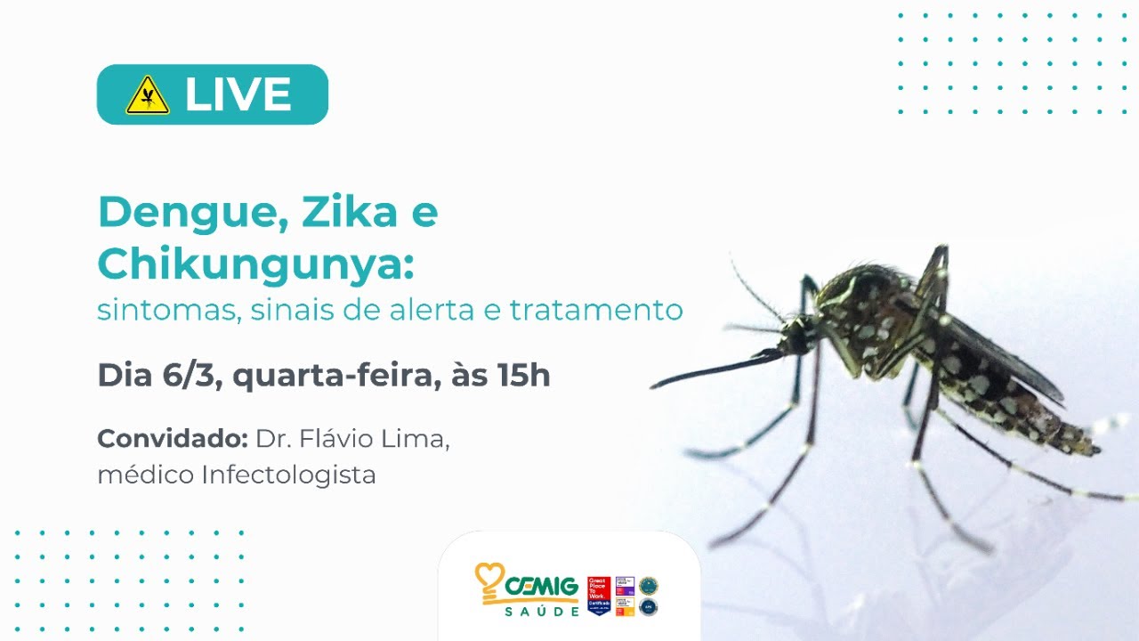 Dengue, Zika e Chikungunya: sintomas, sinais de alerta e tratamento