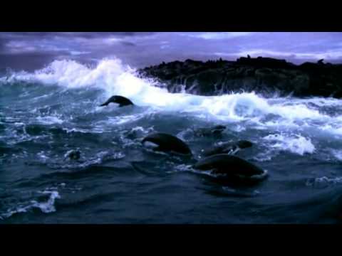 Beautiful, Breathtaking Planet Earth (HD) Music- Enigma - Gravity of Love (1)