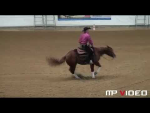 Bronze Trophy Open Champion NRHA Derby 14