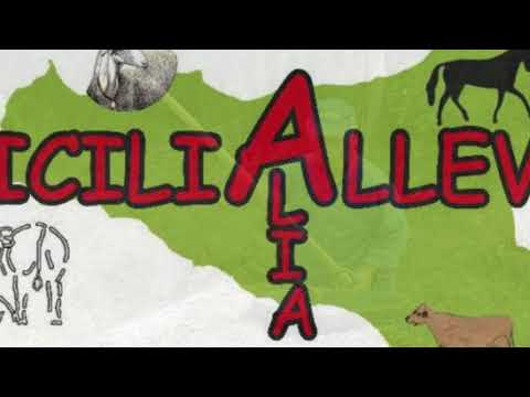 Sicilialleva 2018