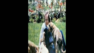 Neil Diamond  &quot;The Best Years Of Our Lives&quot; peaked at #7 on AC Top 10 OTD in 1989