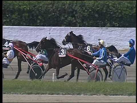 Trotto 27/05/2016 - 2° corsa