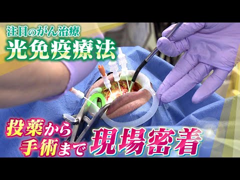 ケビン・ジョナス、皮膚がんの切除手術を受け、症状を調べる