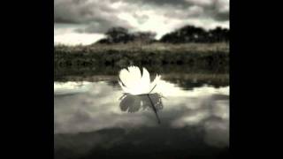 The Shadow Project - Being Here (So Confusing)