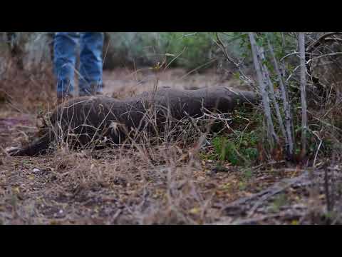 Management Youth Hunt 2026