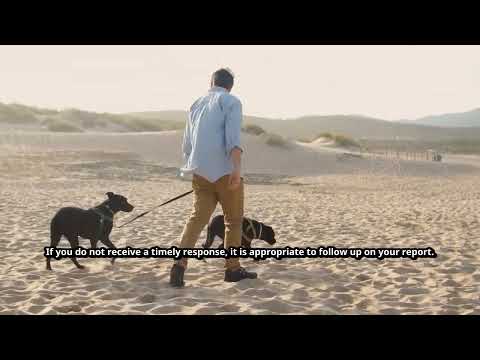 Recognizing and Reporting Animal Abuse: A Guide for Pet Owners