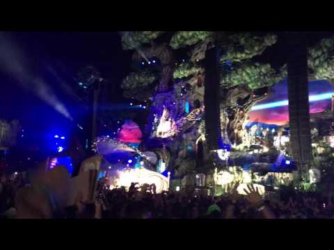 Opening Set Tiësto @ Tomorrowland 2016 Mainstage