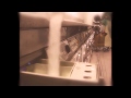 Ellen Allien - Elphine OfficialVideo HD