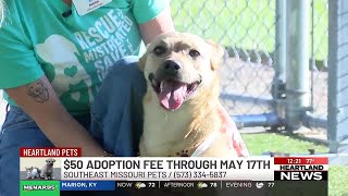 Heartland Pets feat. Patty on 5/15