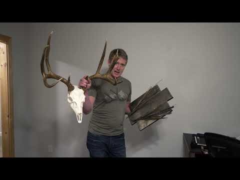 Custom European Mount Plaques
