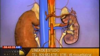 Entrevista a John Agramonte, experto en células madres en #EnfoqueMatinal.