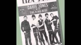 Davie Jones  and The King Bees - Liza Jane