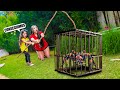 WE MADE A TRAP FOR THE GIANT SPIDER AND WE MANAGED TO CATCH IT