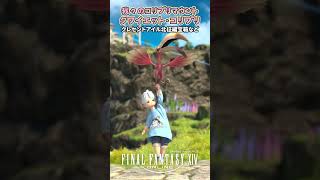 我々のコリブリ「クワイエット・コリブリ」 #FF14