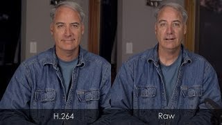 Comparing Magic Lantern Raw vs H.264 on My Canon 5D Mark III