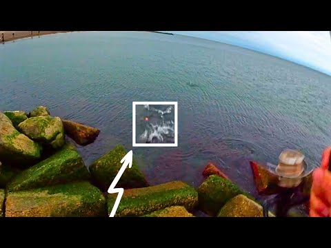 Caught a TON of Mackerel in the Scandinavian Sea! Check it out!