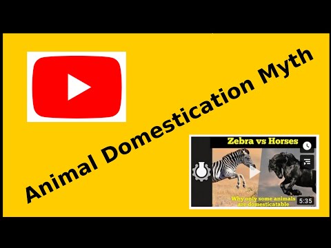 The YouTube Animal Domestication Myth