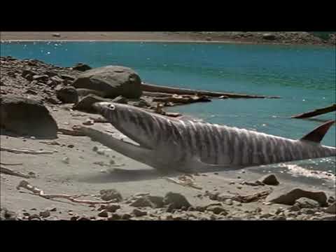 Walking with Monsters - Hyneria Attacks Hynerpeton