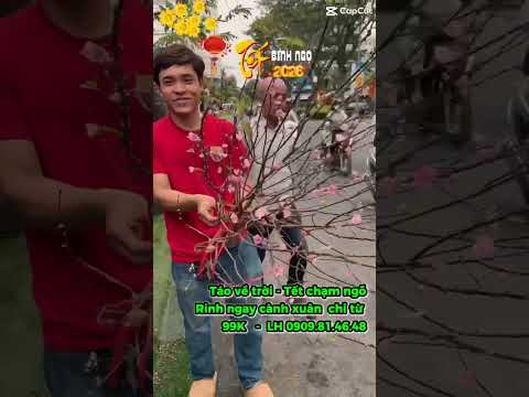 Đào siêu nụ tại Chợ Hoa Xuân Tân Mỹ Quận 7