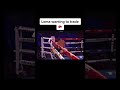 Lomachenko Enter The Matrix Boxing Boxer Fighter Fight Punch Skill Passion Olympics Shorts