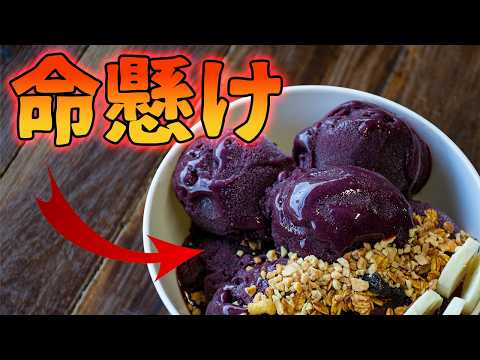 サンショウウオ コルシカ