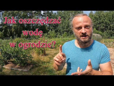 Jak oszczędzać wodę w ogrodzie? - EkoŻul 16