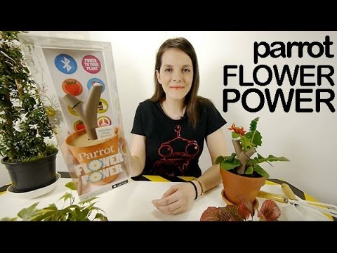 Parrot Flower Power review Videorama