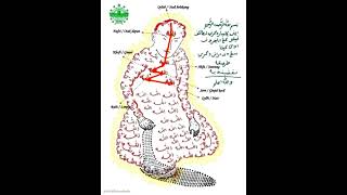 Download lagu Naqsyabandiyah mp3 Download lagu Naqsyabandiyah mp3