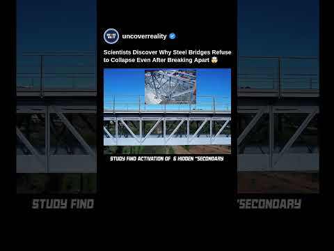 Scientists Discover Why Steel Bridges Refuse To Collapse Even After Failure #engineering #shorts