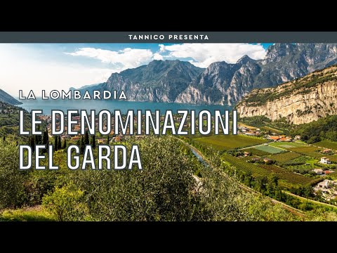 Le altre denominazioni del Lago di Garda lombardo | Tannico