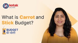 Understanding the 'Carrot and Stick' Budget