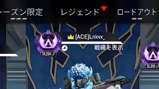 APEX 　スリスト　相棒