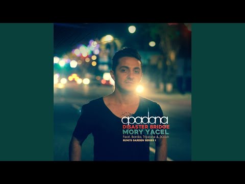 Run Run Run (feat. Bardia)